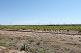 IMG_0846